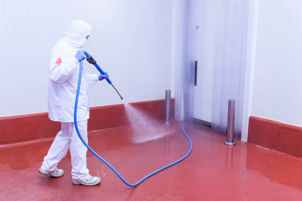 Best Driveway Pressure Washing  in , NE